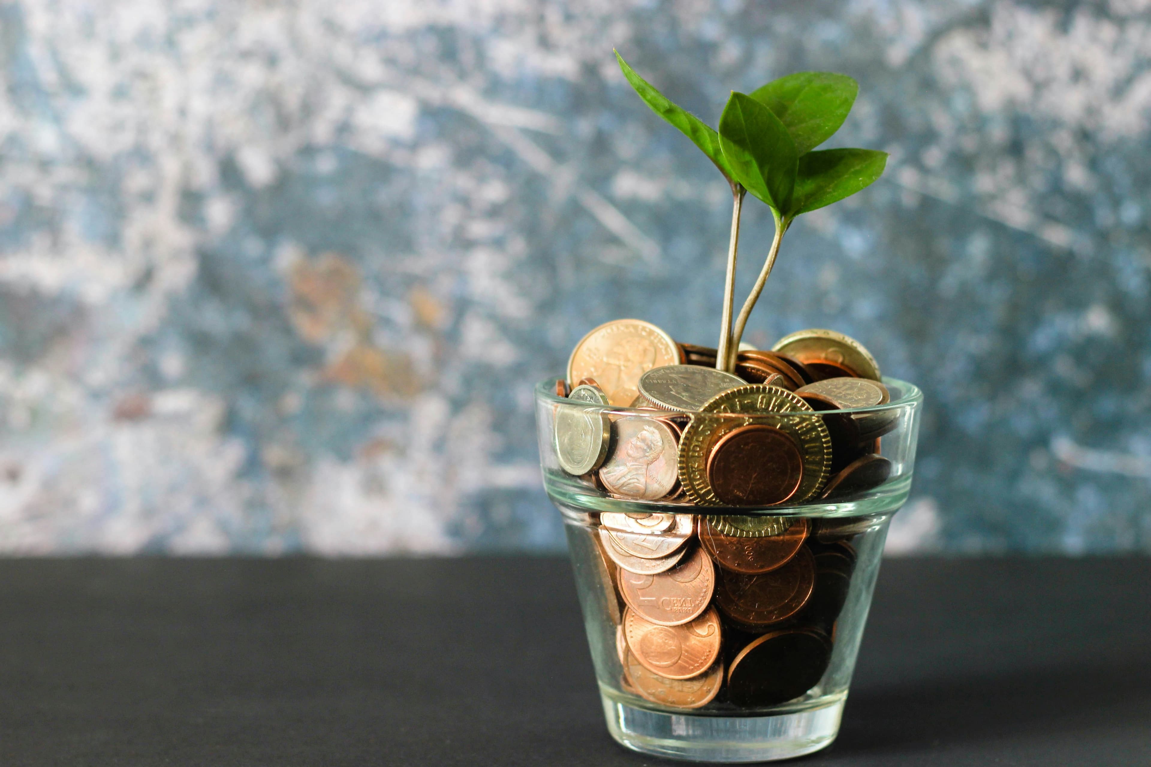 Savings Accounts